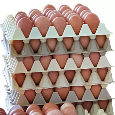 CARTON DE 14 PLAQUETTES