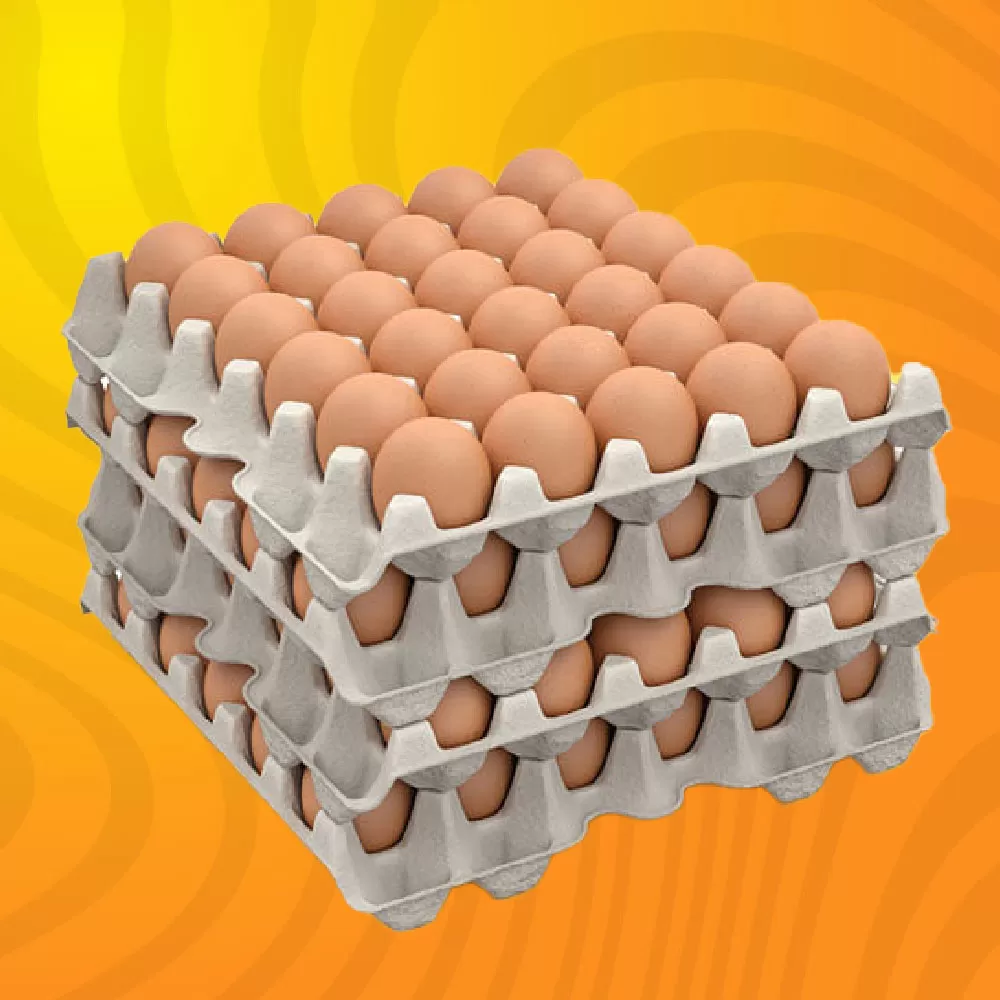 ŒUFS