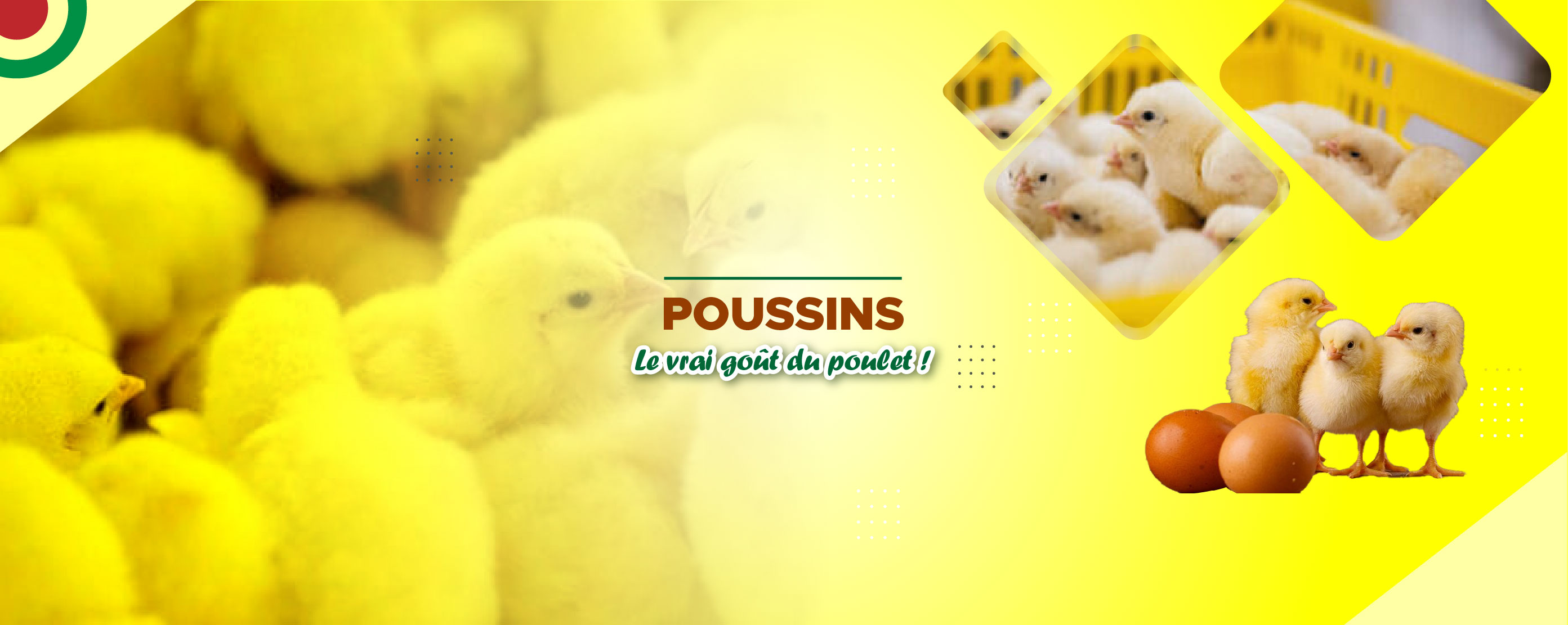 POUSSINS