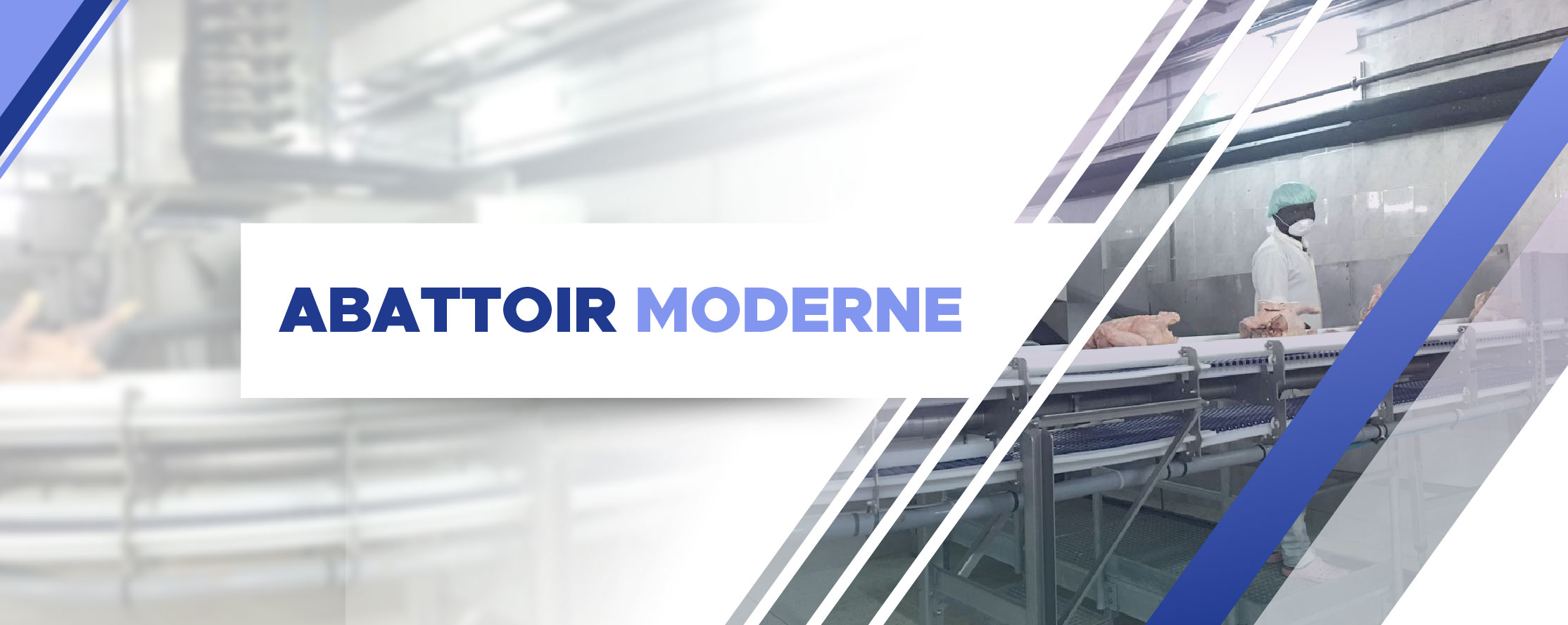 ABATTOIR MODERNE
