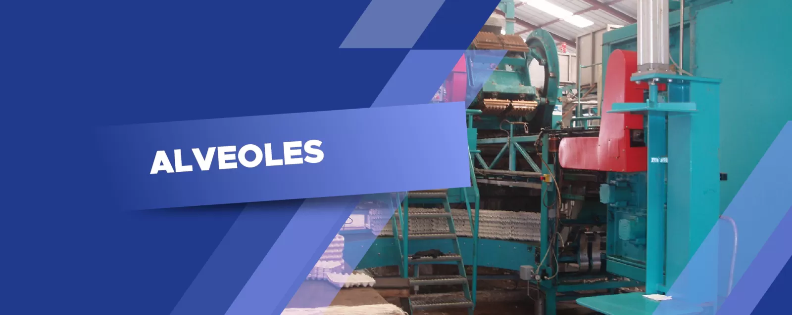 ALVEOLE