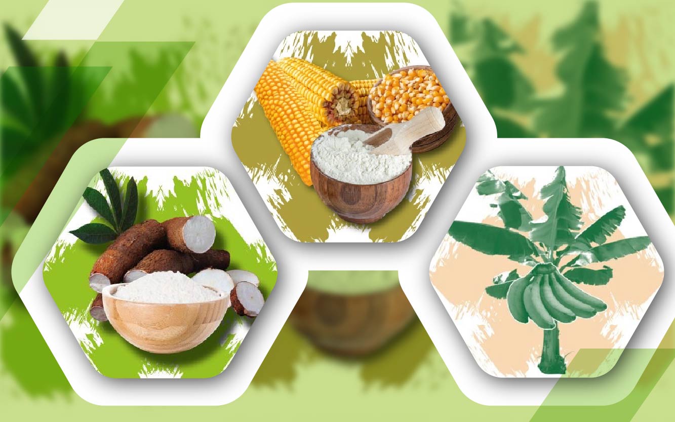 PRODUCTION DE FARINES NATURELLES