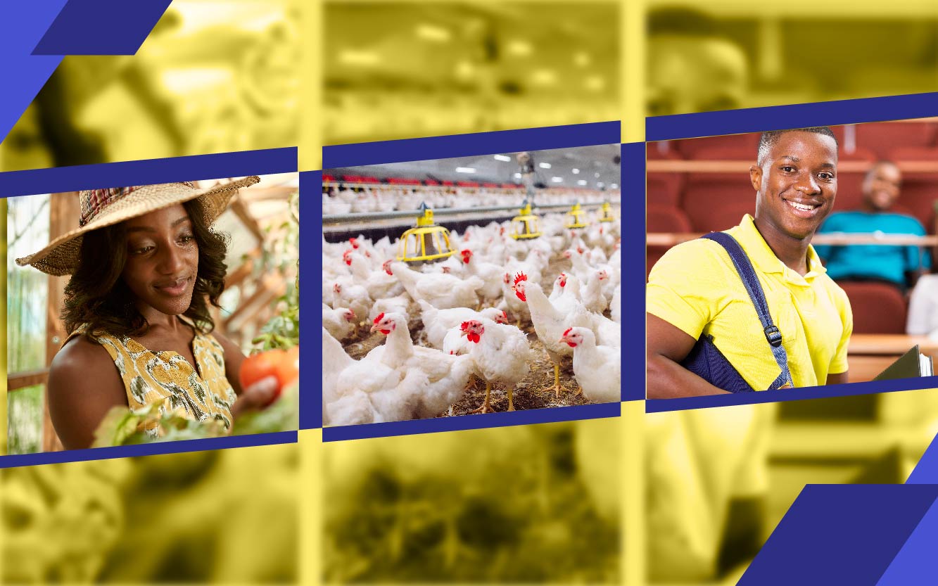 ECOLE  DE FORMATION  ITC